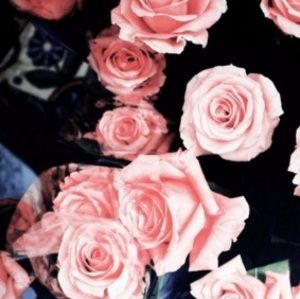 Meet your Posher, Reagan